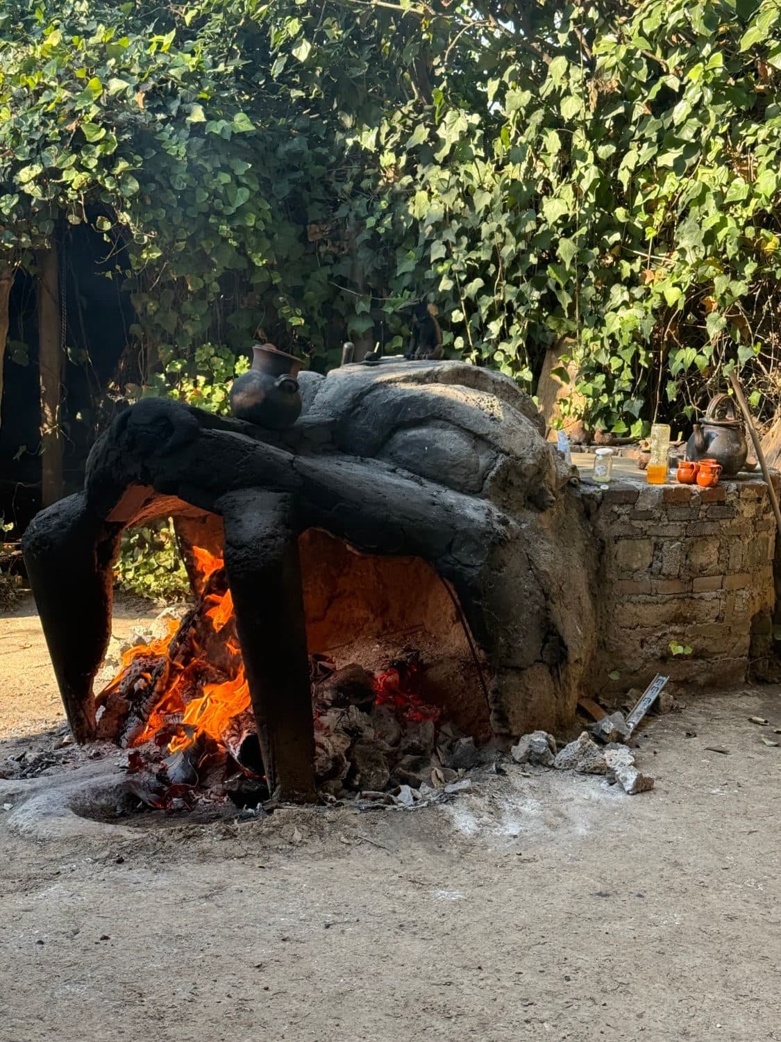The temazcal's stone dome being fire-heated in a garden courtyard before the ceremony