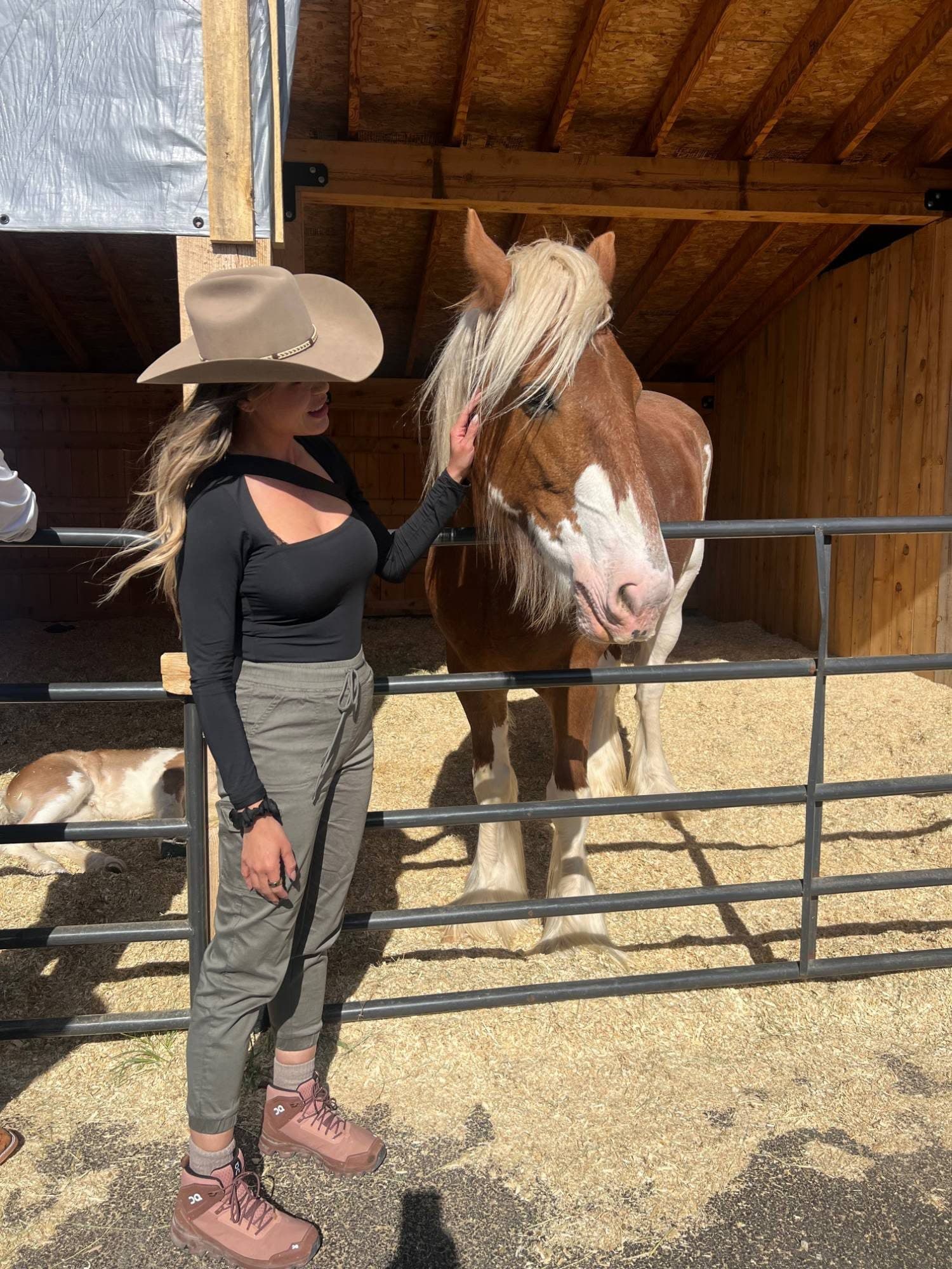 A guest in her custom cowboy hat greeting a Clydesdale at the outpost